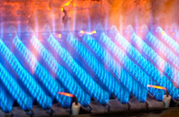 Prieston gas fired boilers
